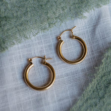 Load image into Gallery viewer, Goldie Hoops