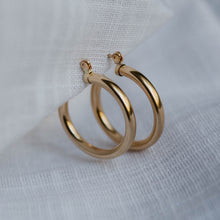 Load image into Gallery viewer, Goldie Hoops