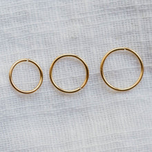Load image into Gallery viewer, Cartilage Hoops