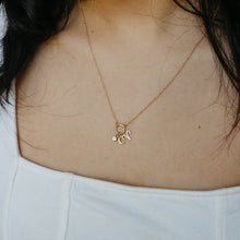 Load image into Gallery viewer, Charm Holder Necklace | Solid Gold