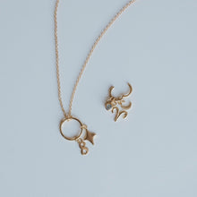 Load image into Gallery viewer, Charm Holder Necklace | Solid Gold