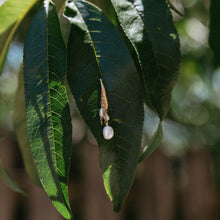 Load image into Gallery viewer, Pearl Cascade Earrings
