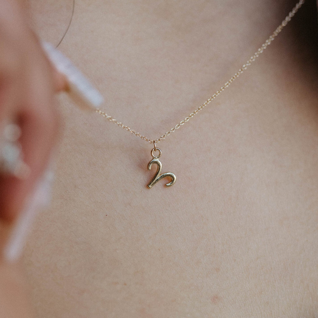 Zodiac Charm Necklace | Solid Gold